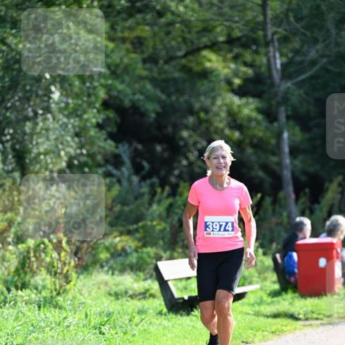 27.09.2026 - 35. Volkslauf durch das schöne Alstertal Dr. Thomas Lammeyer http://msf.ph/oto/10574154 27.09.2026 11:31:38 Laufen 3974 meine-sportfotos.de