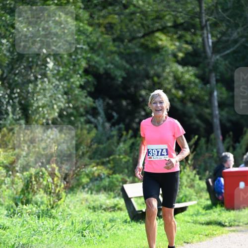 27.09.2026 - 35. Volkslauf durch das schöne Alstertal Dr. Thomas Lammeyer http://msf.ph/oto/10574155 27.09.2026 11:31:38 Laufen 3974 meine-sportfotos.de