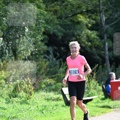 27.09.2026 - 35. Volkslauf durch das schöne Alstertal Dr. Thomas Lammeyer http://msf.ph/oto/10574157 27.09.2026 11:31:38 Laufen 3974 meine-sportfotos.de