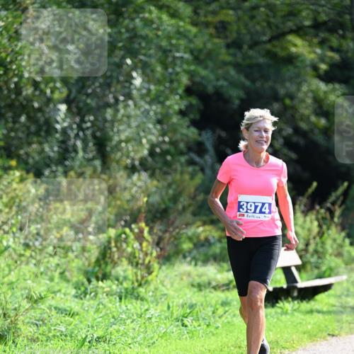 27.09.2026 - 35. Volkslauf durch das schöne Alstertal Dr. Thomas Lammeyer http://msf.ph/oto/10574162 27.09.2026 11:31:39 Laufen 3974 meine-sportfotos.de