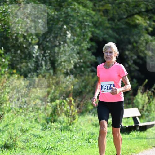 27.09.2026 - 35. Volkslauf durch das schöne Alstertal Dr. Thomas Lammeyer http://msf.ph/oto/10574165 27.09.2026 11:31:39 Laufen 3974 meine-sportfotos.de