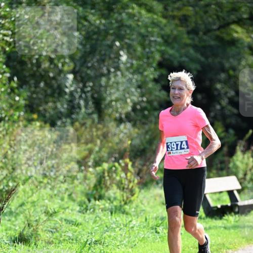 27.09.2026 - 35. Volkslauf durch das schöne Alstertal Dr. Thomas Lammeyer http://msf.ph/oto/10574166 27.09.2026 11:31:39 Laufen 3974 meine-sportfotos.de