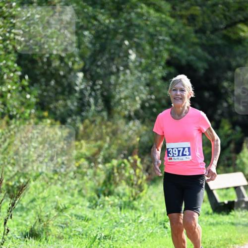 27.09.2026 - 35. Volkslauf durch das schöne Alstertal Dr. Thomas Lammeyer http://msf.ph/oto/10574167 27.09.2026 11:31:39 Laufen 3974 meine-sportfotos.de