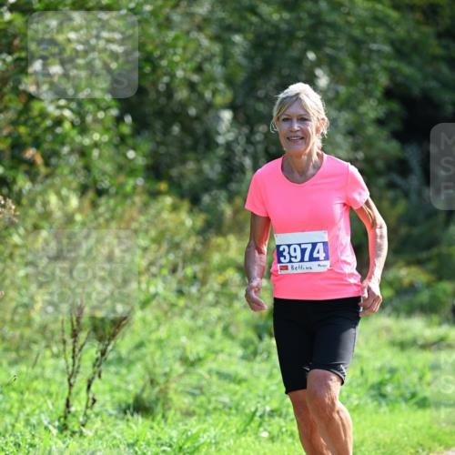 27.09.2026 - 35. Volkslauf durch das schöne Alstertal Dr. Thomas Lammeyer http://msf.ph/oto/10574175 27.09.2026 11:31:40 Laufen 3974 meine-sportfotos.de