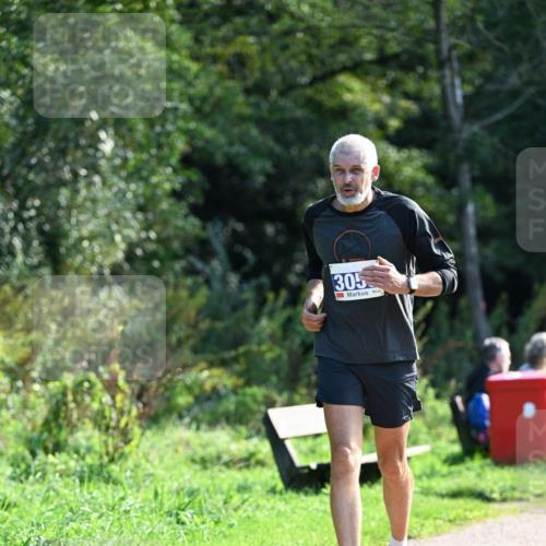 27.09.2026 - 35. Volkslauf durch das schöne Alstertal Dr. Thomas Lammeyer http://msf.ph/oto/10574179 27.09.2026 11:31:43 Laufen 305 meine-sportfotos.de