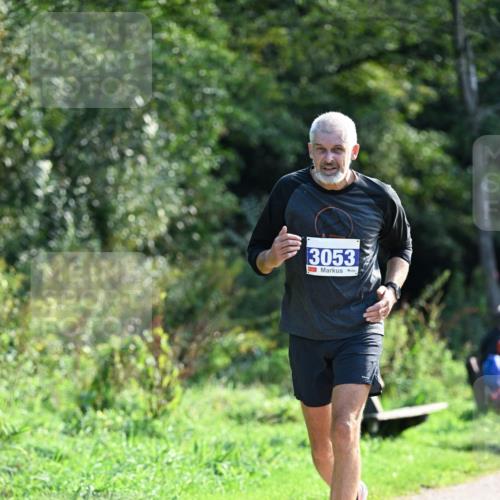 27.09.2026 - 35. Volkslauf durch das schöne Alstertal Dr. Thomas Lammeyer http://msf.ph/oto/10574184 27.09.2026 11:31:43 Laufen 3053 meine-sportfotos.de