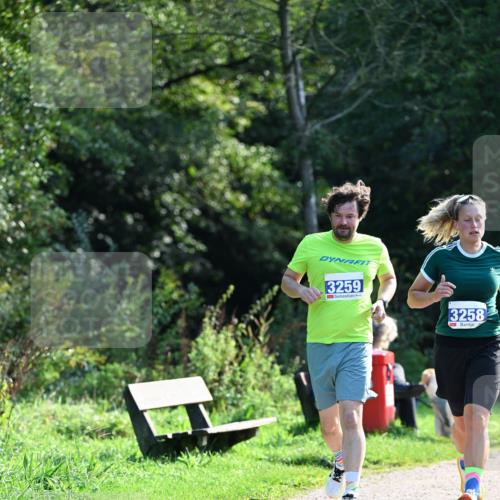 27.09.2026 - 35. Volkslauf durch das schöne Alstertal Dr. Thomas Lammeyer http://msf.ph/oto/10574197 27.09.2026 11:31:46 Laufen 3259, 3258 meine-sportfotos.de