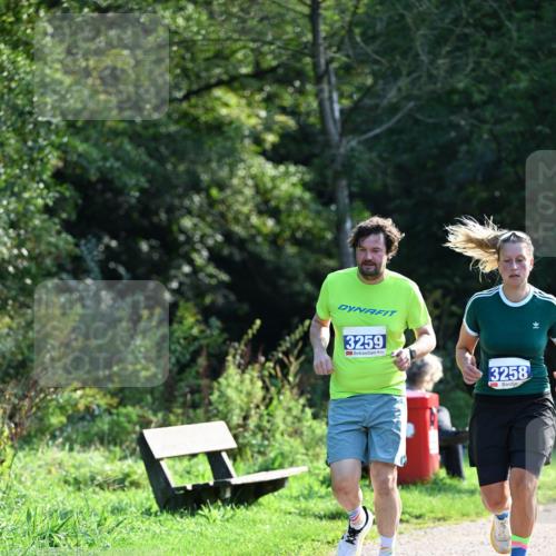 27.09.2026 - 35. Volkslauf durch das schöne Alstertal Dr. Thomas Lammeyer http://msf.ph/oto/10574199 27.09.2026 11:31:46 Laufen 3259, 3258 meine-sportfotos.de