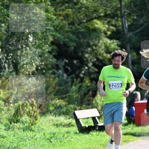 27.09.2026 - 35. Volkslauf durch das schöne Alstertal Dr. Thomas Lammeyer http://msf.ph/oto/10574206 27.09.2026 11:31:47 Laufen 3259 meine-sportfotos.de