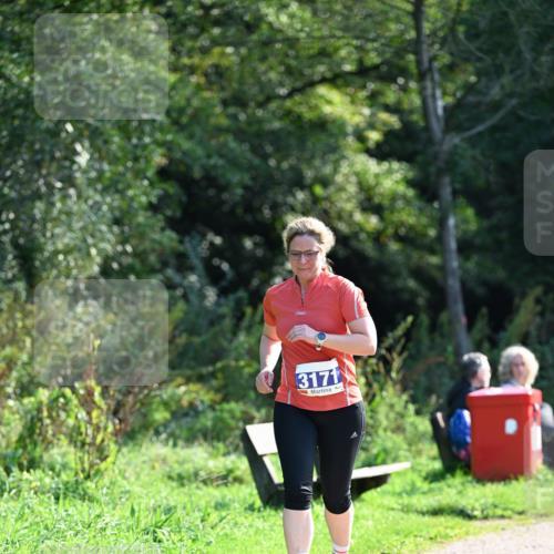 27.09.2026 - 35. Volkslauf durch das schöne Alstertal Dr. Thomas Lammeyer http://msf.ph/oto/10574231 27.09.2026 11:31:51 Laufen 3171 meine-sportfotos.de