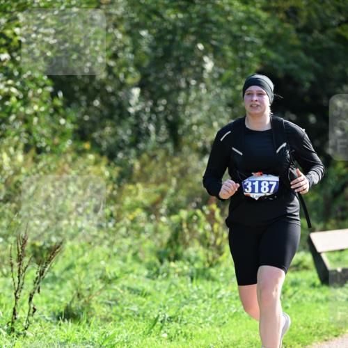 27.09.2026 - 35. Volkslauf durch das schöne Alstertal Dr. Thomas Lammeyer http://msf.ph/oto/10574262 27.09.2026 11:31:59 Laufen 3187 meine-sportfotos.de
