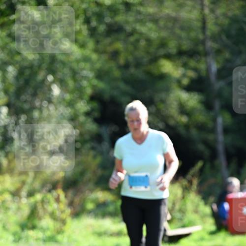 27.09.2026 - 35. Volkslauf durch das schöne Alstertal Dr. Thomas Lammeyer http://msf.ph/oto/10574305 27.09.2026 11:32:06 Laufen  meine-sportfotos.de