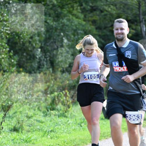27.09.2026 - 35. Volkslauf durch das schöne Alstertal Dr. Thomas Lammeyer http://msf.ph/oto/10574367 27.09.2026 11:32:22 Laufen 3105, 3963 meine-sportfotos.de
