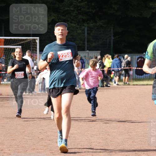 27.09.2026 - 35. Volkslauf durch das schöne Alstertal Strokosch-Dieckow http://msf.ph/oto/10574372 27.09.2026 12:28:13 Ziel 2018, 2062, 2063, 2258, 2302 meine-sportfotos.de