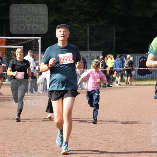 27.09.2026 - 35. Volkslauf durch das schöne Alstertal Strokosch-Dieckow http://msf.ph/oto/10574377 27.09.2026 12:28:13 Ziel 2018, 2062, 2063, 2258, 2302 meine-sportfotos.de