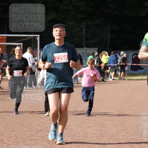 27.09.2026 - 35. Volkslauf durch das schöne Alstertal Strokosch-Dieckow http://msf.ph/oto/10574381 27.09.2026 12:28:13 Ziel 2018, 2062, 2063, 2258, 2302 meine-sportfotos.de