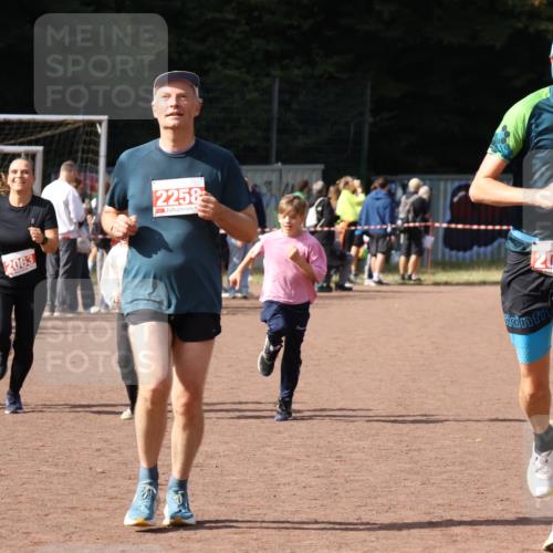 27.09.2026 - 35. Volkslauf durch das schöne Alstertal Strokosch-Dieckow http://msf.ph/oto/10574386 27.09.2026 12:28:13 Ziel 2018, 2062, 2063, 2258, 2302 meine-sportfotos.de