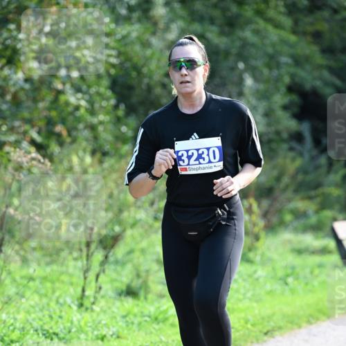 27.09.2026 - 35. Volkslauf durch das schöne Alstertal Dr. Thomas Lammeyer http://msf.ph/oto/10574405 27.09.2026 11:32:29 Laufen 3230 meine-sportfotos.de