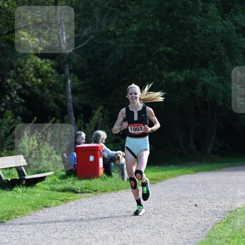 27.09.2026 - 35. Volkslauf durch das schöne Alstertal Dr. Thomas Lammeyer http://msf.ph/oto/10574437 27.09.2026 11:32:42 Laufen 1003 meine-sportfotos.de
