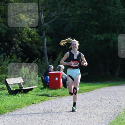 27.09.2026 - 35. Volkslauf durch das schöne Alstertal Dr. Thomas Lammeyer http://msf.ph/oto/10574439 27.09.2026 11:32:42 Laufen 1003 meine-sportfotos.de