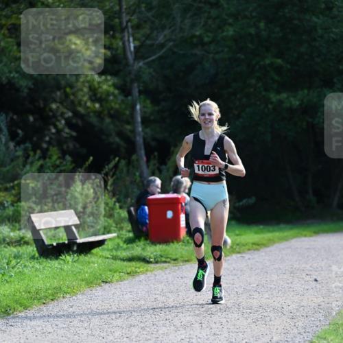 27.09.2026 - 35. Volkslauf durch das schöne Alstertal Dr. Thomas Lammeyer http://msf.ph/oto/10574441 27.09.2026 11:32:42 Laufen 1003 meine-sportfotos.de