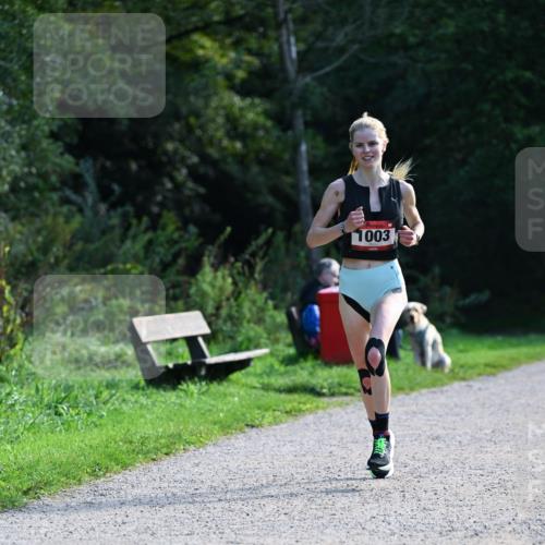 27.09.2026 - 35. Volkslauf durch das schöne Alstertal Dr. Thomas Lammeyer http://msf.ph/oto/10574446 27.09.2026 11:32:43 Laufen 1003 meine-sportfotos.de