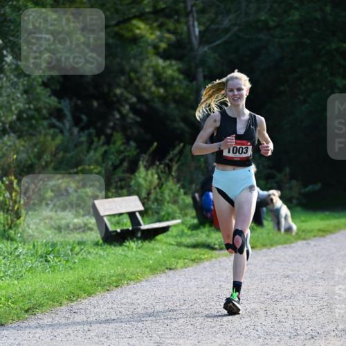27.09.2026 - 35. Volkslauf durch das schöne Alstertal Dr. Thomas Lammeyer http://msf.ph/oto/10574447 27.09.2026 11:32:43 Laufen 1003 meine-sportfotos.de