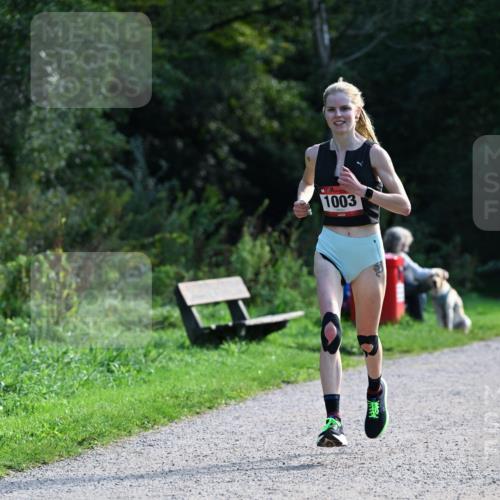 27.09.2026 - 35. Volkslauf durch das schöne Alstertal Dr. Thomas Lammeyer http://msf.ph/oto/10574450 27.09.2026 11:32:43 Laufen 1003 meine-sportfotos.de