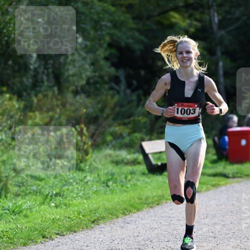 27.09.2026 - 35. Volkslauf durch das schöne Alstertal Dr. Thomas Lammeyer http://msf.ph/oto/10574455 27.09.2026 11:32:44 Laufen 1003 meine-sportfotos.de