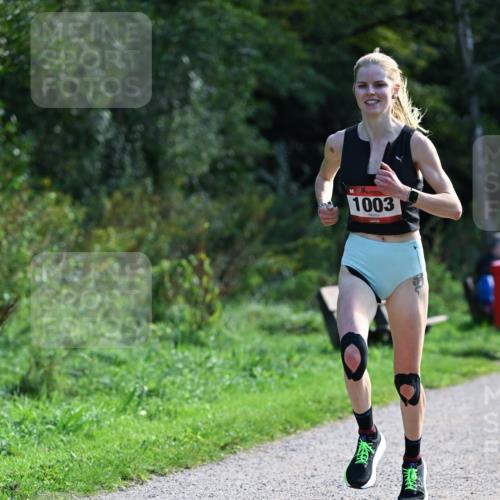 27.09.2026 - 35. Volkslauf durch das schöne Alstertal Dr. Thomas Lammeyer http://msf.ph/oto/10574456 27.09.2026 11:32:44 Laufen 1003 meine-sportfotos.de
