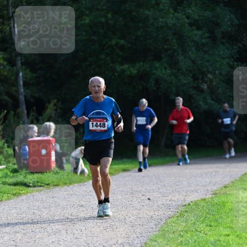 27.09.2026 - 35. Volkslauf durch das schöne Alstertal Dr. Thomas Lammeyer http://msf.ph/oto/10574475 27.09.2026 11:32:50 Laufen 1448 meine-sportfotos.de