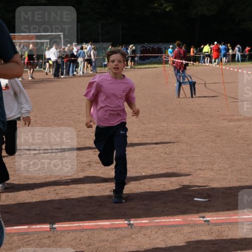 27.09.2026 - 35. Volkslauf durch das schöne Alstertal Strokosch-Dieckow http://msf.ph/oto/10574482 27.09.2026 12:28:17 Ziel 2018, 2062, 2063, 2258, 2302 meine-sportfotos.de