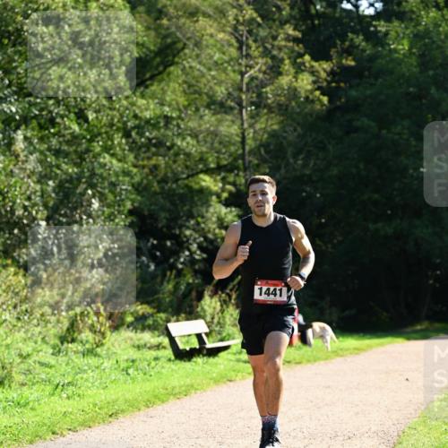 27.09.2026 - 35. Volkslauf durch das schöne Alstertal Dr. Thomas Lammeyer http://msf.ph/oto/10574639 27.09.2026 11:33:38 Laufen 1441 meine-sportfotos.de