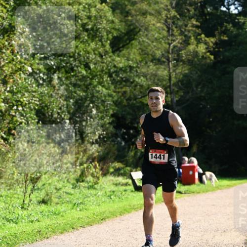 27.09.2026 - 35. Volkslauf durch das schöne Alstertal Dr. Thomas Lammeyer http://msf.ph/oto/10574643 27.09.2026 11:33:38 Laufen 1441 meine-sportfotos.de