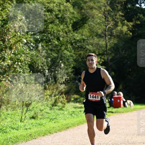 27.09.2026 - 35. Volkslauf durch das schöne Alstertal Dr. Thomas Lammeyer http://msf.ph/oto/10574644 27.09.2026 11:33:38 Laufen 1441 meine-sportfotos.de