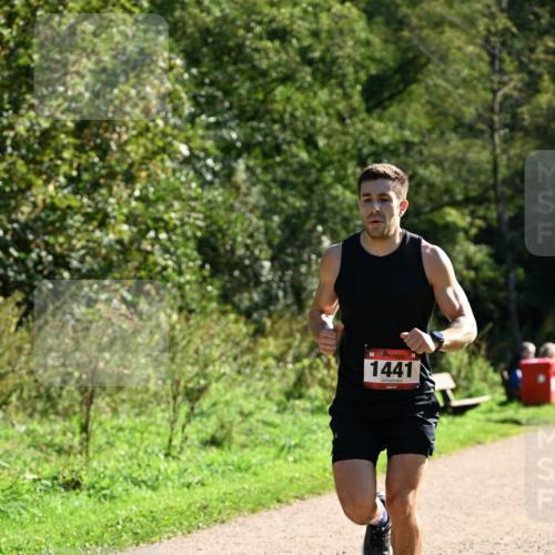 27.09.2026 - 35. Volkslauf durch das schöne Alstertal Dr. Thomas Lammeyer http://msf.ph/oto/10574648 27.09.2026 11:33:39 Laufen 1441 meine-sportfotos.de