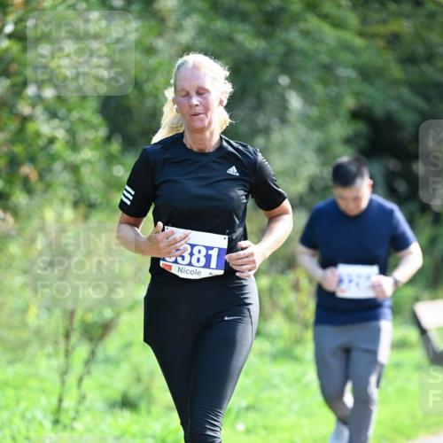 27.09.2026 - 35. Volkslauf durch das schöne Alstertal Dr. Thomas Lammeyer http://msf.ph/oto/10574713 27.09.2026 11:34:18 Laufen 381 meine-sportfotos.de