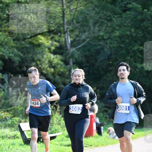 27.09.2026 - 35. Volkslauf durch das schöne Alstertal Dr. Thomas Lammeyer http://msf.ph/oto/10574724 27.09.2026 11:34:21 Laufen 1434, 3082, 3081 meine-sportfotos.de