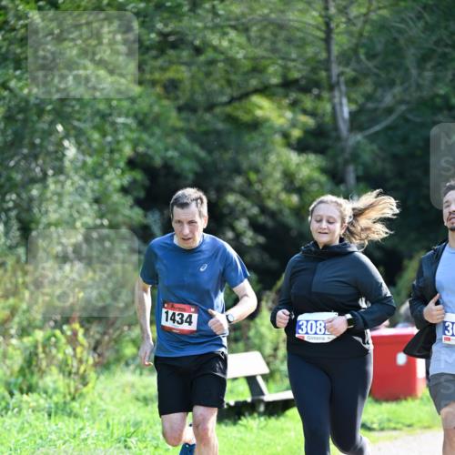 27.09.2026 - 35. Volkslauf durch das schöne Alstertal Dr. Thomas Lammeyer http://msf.ph/oto/10574729 27.09.2026 11:34:22 Laufen 1434, 308, 30 meine-sportfotos.de