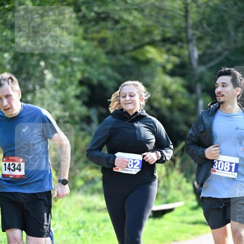 27.09.2026 - 35. Volkslauf durch das schöne Alstertal Dr. Thomas Lammeyer http://msf.ph/oto/10574735 27.09.2026 11:34:23 Laufen 1434, 82, 3081 meine-sportfotos.de