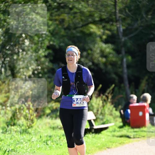 27.09.2026 - 35. Volkslauf durch das schöne Alstertal Dr. Thomas Lammeyer http://msf.ph/oto/10574756 27.09.2026 11:34:50 Laufen 340 meine-sportfotos.de