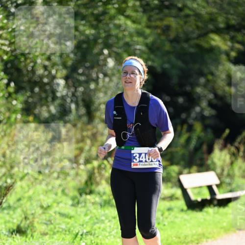 27.09.2026 - 35. Volkslauf durch das schöne Alstertal Dr. Thomas Lammeyer http://msf.ph/oto/10574763 27.09.2026 11:34:51 Laufen 3400 meine-sportfotos.de