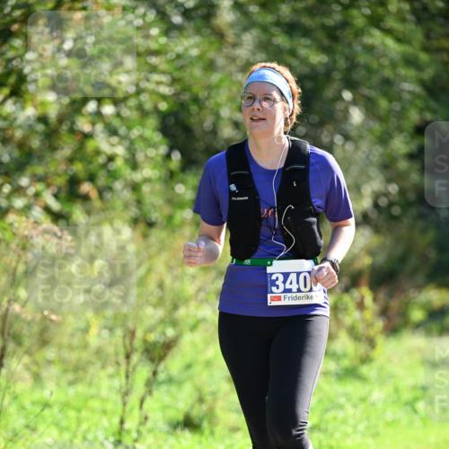 27.09.2026 - 35. Volkslauf durch das schöne Alstertal Dr. Thomas Lammeyer http://msf.ph/oto/10574771 27.09.2026 11:34:52 Laufen 340 meine-sportfotos.de