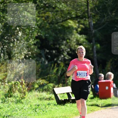 27.09.2026 - 35. Volkslauf durch das schöne Alstertal Dr. Thomas Lammeyer http://msf.ph/oto/10574777 27.09.2026 11:34:56 Laufen 3389 meine-sportfotos.de