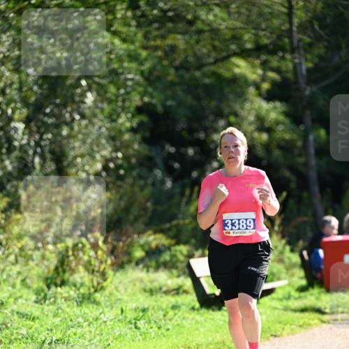 27.09.2026 - 35. Volkslauf durch das schöne Alstertal Dr. Thomas Lammeyer http://msf.ph/oto/10574782 27.09.2026 11:34:56 Laufen 3389 meine-sportfotos.de