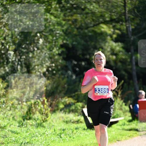 27.09.2026 - 35. Volkslauf durch das schöne Alstertal Dr. Thomas Lammeyer http://msf.ph/oto/10574783 27.09.2026 11:34:56 Laufen 3389 meine-sportfotos.de