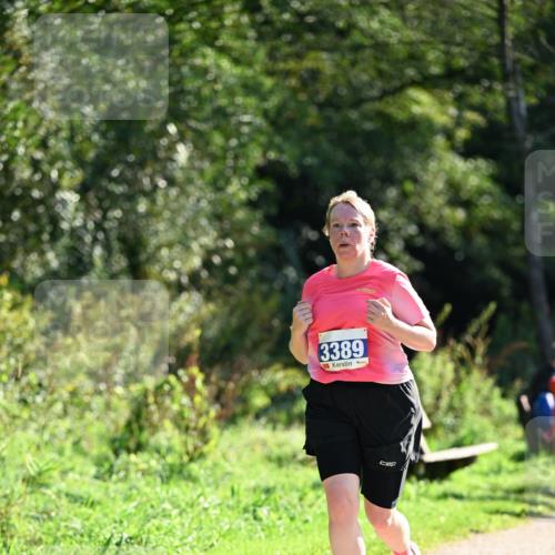 27.09.2026 - 35. Volkslauf durch das schöne Alstertal Dr. Thomas Lammeyer http://msf.ph/oto/10574787 27.09.2026 11:34:57 Laufen 3389 meine-sportfotos.de