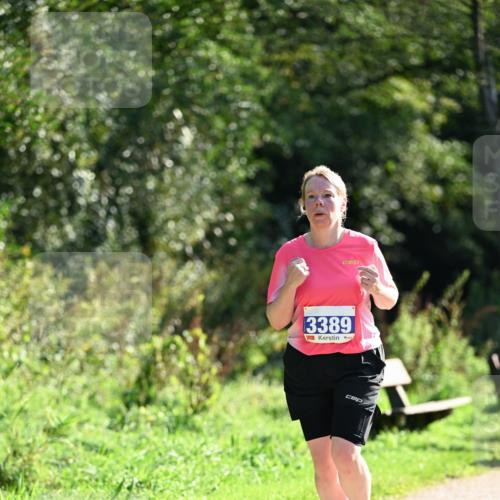 27.09.2026 - 35. Volkslauf durch das schöne Alstertal Dr. Thomas Lammeyer http://msf.ph/oto/10574788 27.09.2026 11:34:57 Laufen 3389 meine-sportfotos.de