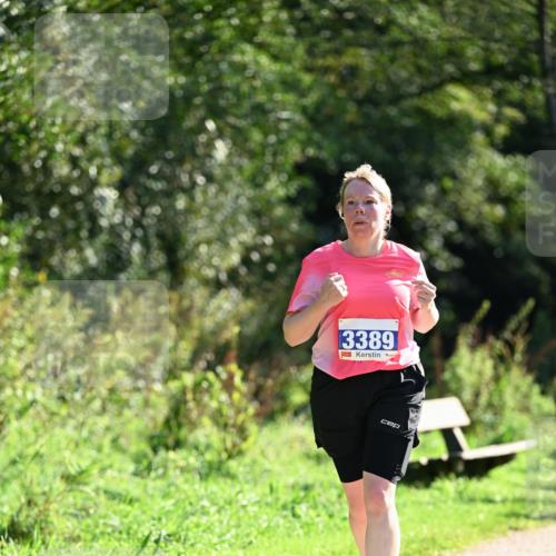 27.09.2026 - 35. Volkslauf durch das schöne Alstertal Dr. Thomas Lammeyer http://msf.ph/oto/10574789 27.09.2026 11:34:57 Laufen 13389 meine-sportfotos.de