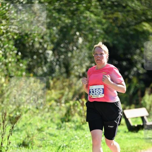 27.09.2026 - 35. Volkslauf durch das schöne Alstertal Dr. Thomas Lammeyer http://msf.ph/oto/10574793 27.09.2026 11:34:57 Laufen 3389 meine-sportfotos.de